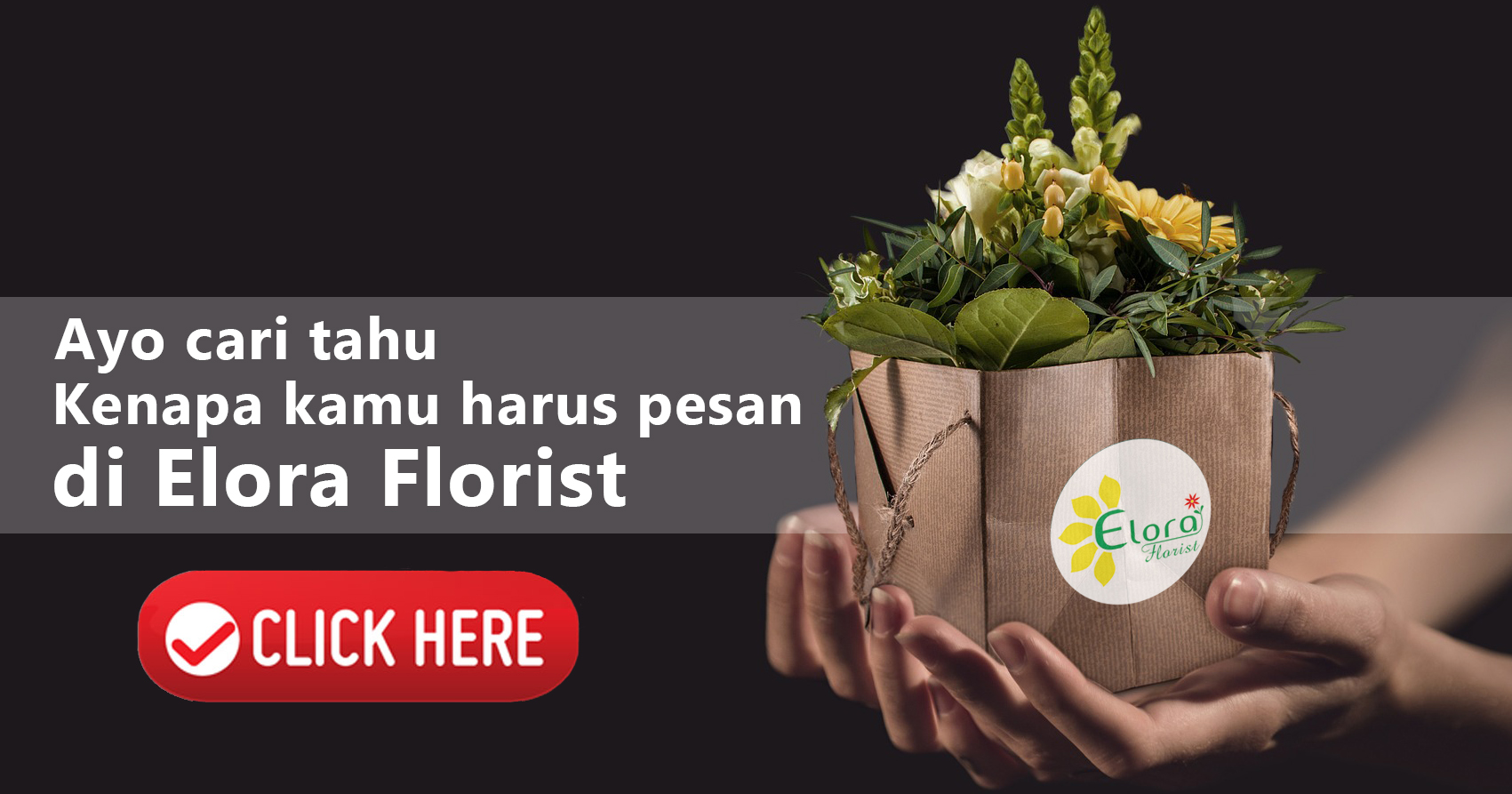 ayo cari tahu new