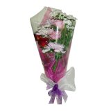 HB BLP-01