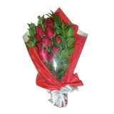 HB BLP-08