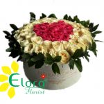 BLOM BOX 12
