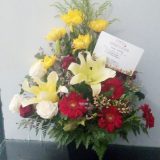 HB MKS-009