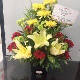 HB MKS-008