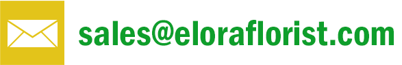email elora florist email elora florist
