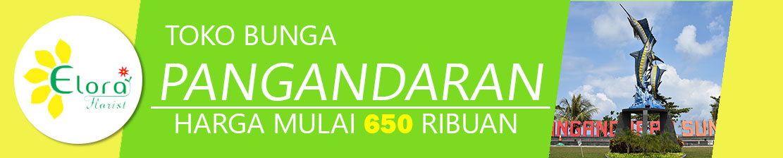 banner web toko bunga pangandaran banner web toko bunga pangandaran