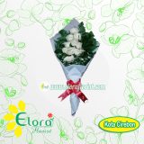 HB CRB-002