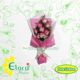 HB CRB-006