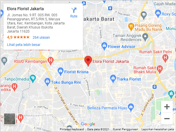 elora jakarta elora jakarta