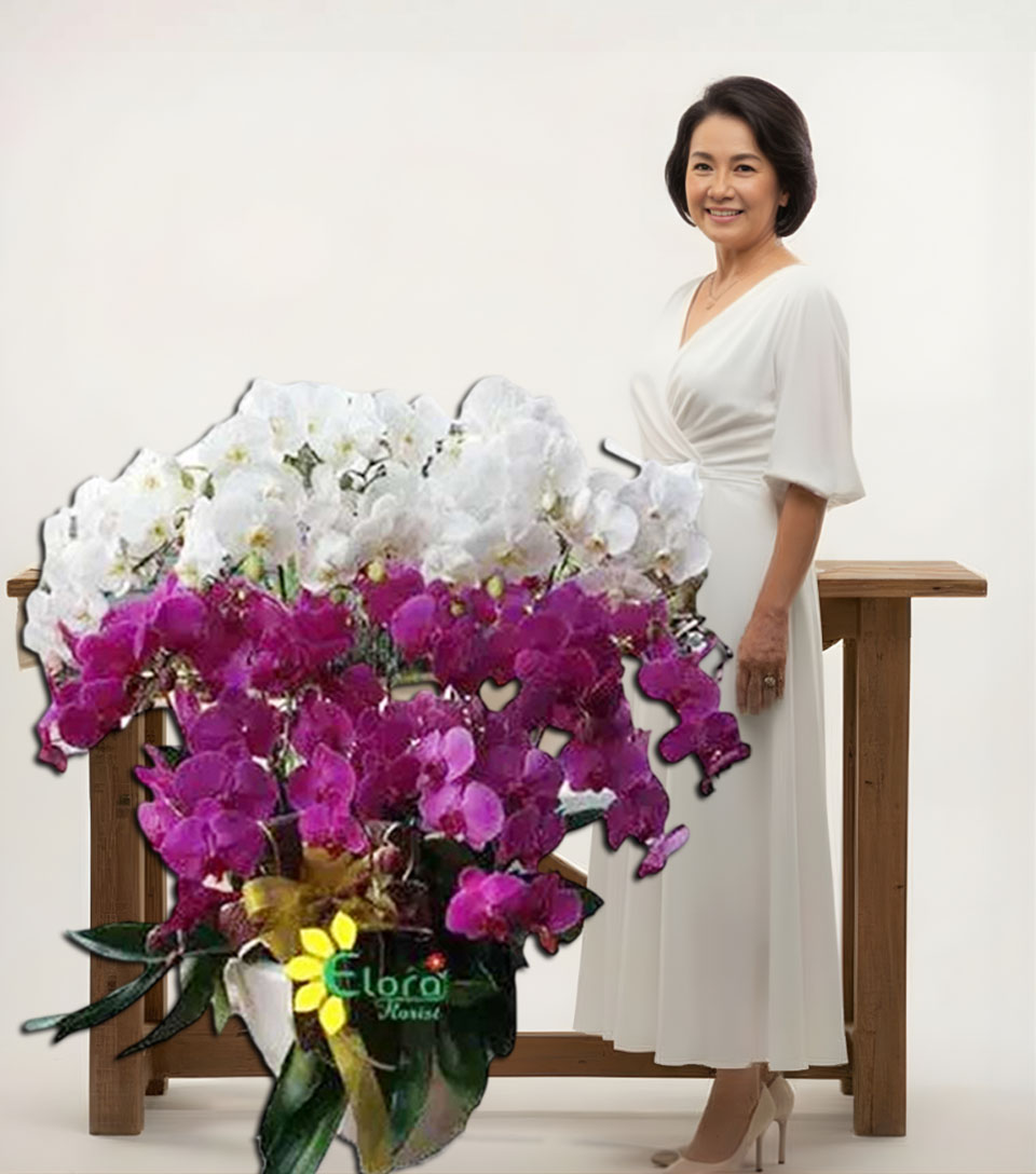 Bunga Anggrek Hari Ibu AGR-023